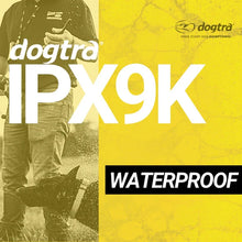Load image into Gallery viewer, Dogtra 1900S