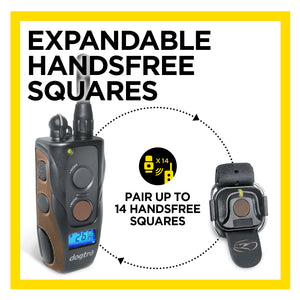 DOGTRA 1900S HANDSFREE PLUS B&L (New Boost & Lock)