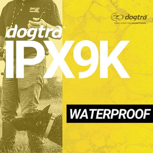 Dogtra 1900S